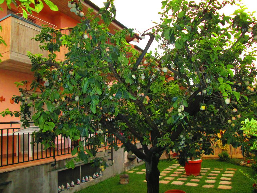 B&B Le Begonie Ascoli Piceno Extérieur photo